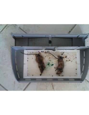 https://e-pestcontrol.gr/3186-home_default/trapper-247-glue-trap-.jpg